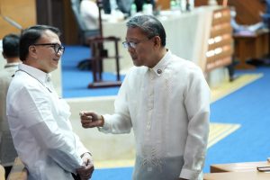 Cong Anthony Golez at work